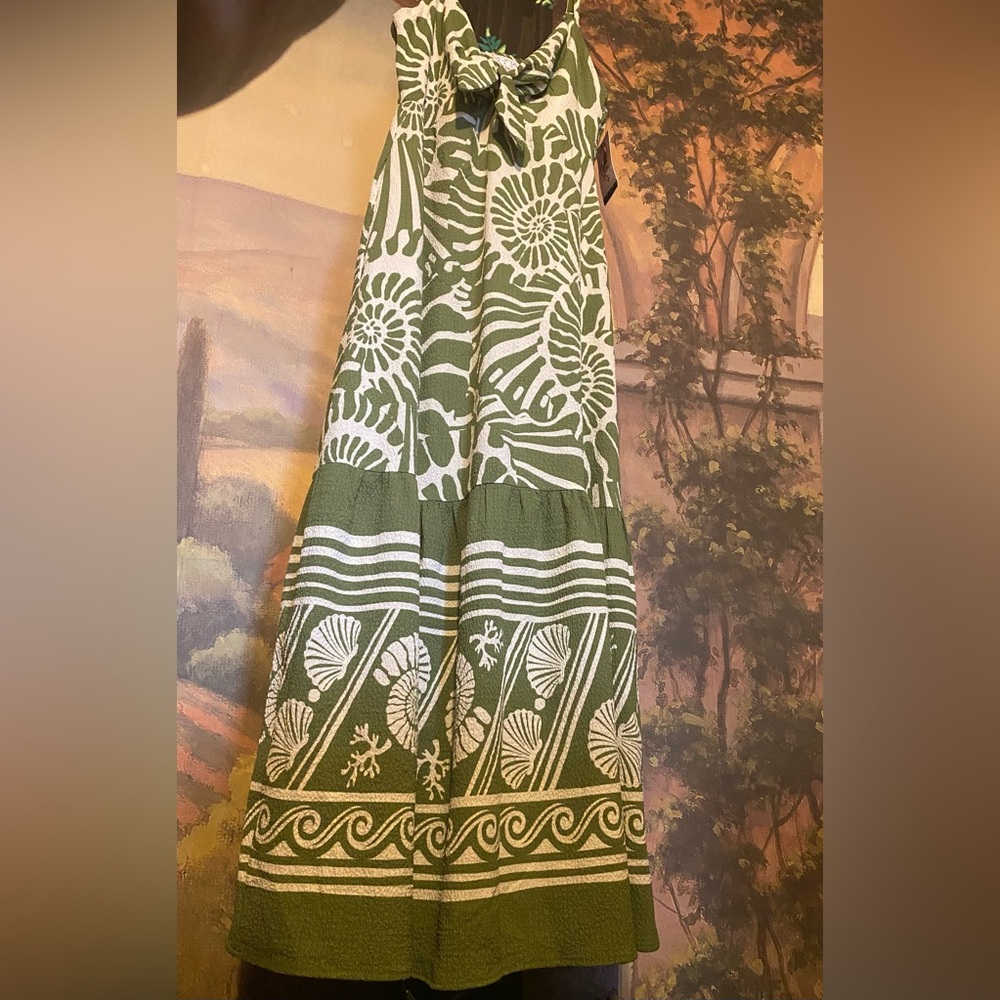 Sofia Vergara Green Abstract Seashell Print Maxi Dress with Pockets - Picture 5 of 8